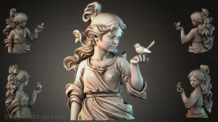 STRI_009183