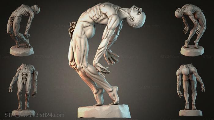 STRI_009193 3d STL model