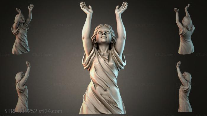 STRI_009252 3d STL model