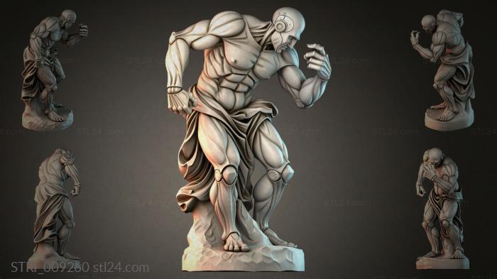 STRI_009260 3d STL model