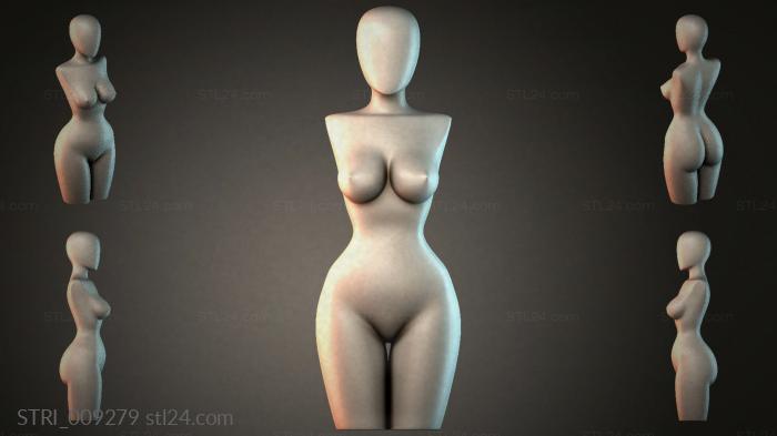 STRI_009279