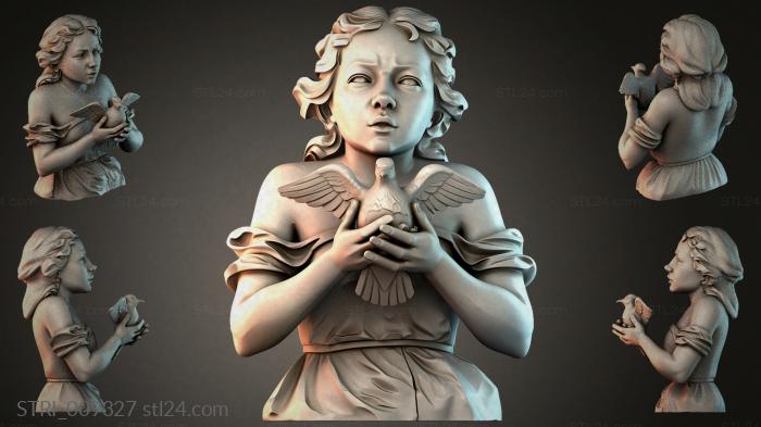 STRI_009327 3d STL model
