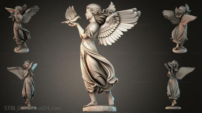 STRI_009331 3d STL model