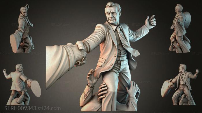 STRI_009343 3d STL model