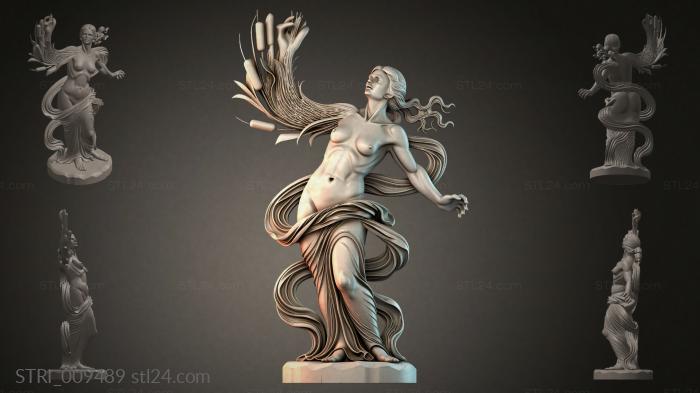 STRI_009489