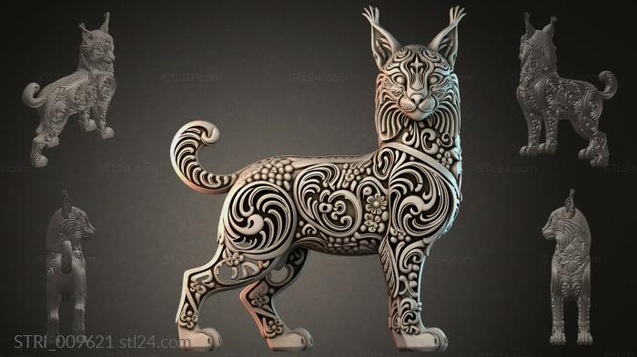 STRI_009621