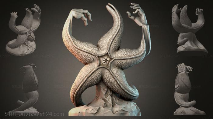 STRI_009638