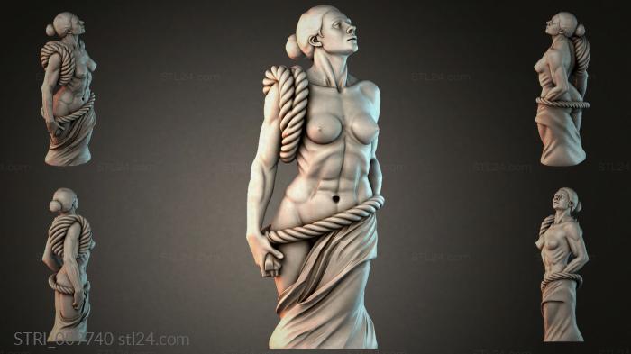 STRI_009740