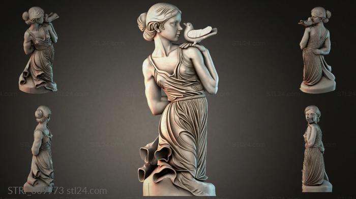 STRI_009773