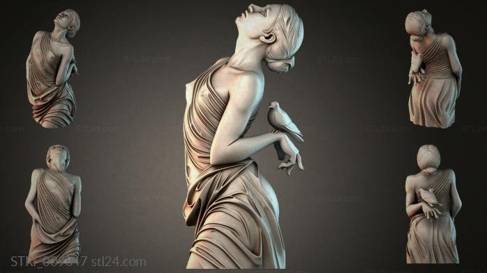 STRI_009847