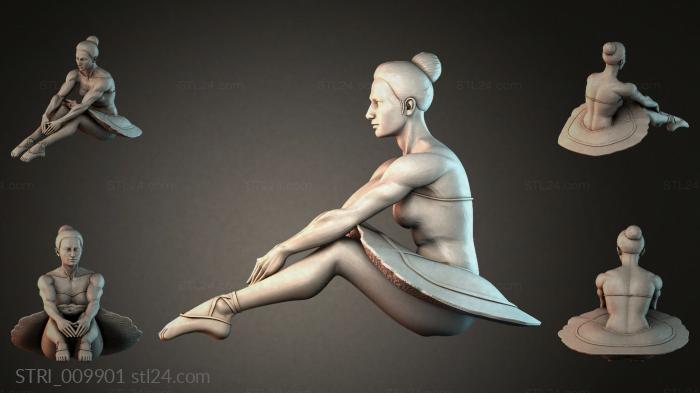 STRI_009901