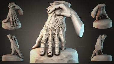 Various figurines STRI_009932 3d model