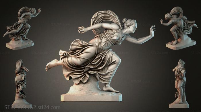 STRI_009962