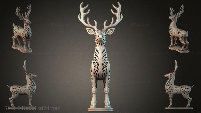 STRI_010038