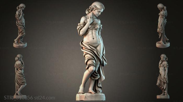 STRI_010856