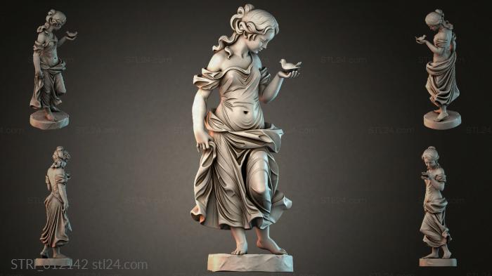 STRI_012142