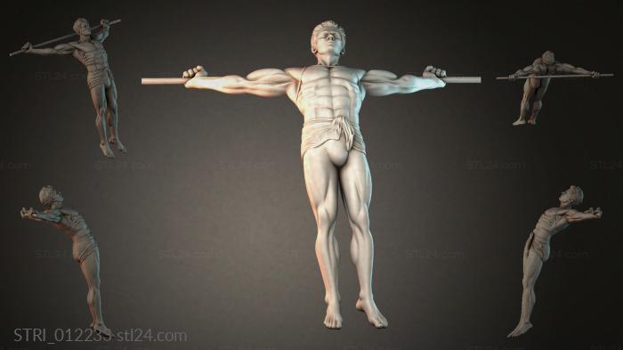 STRI_012233 3d STL model