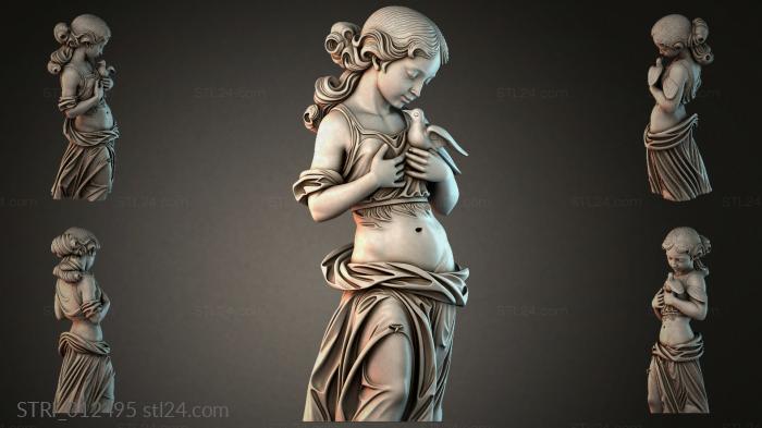 STRI_012495