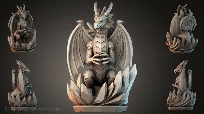 STRI_013158
