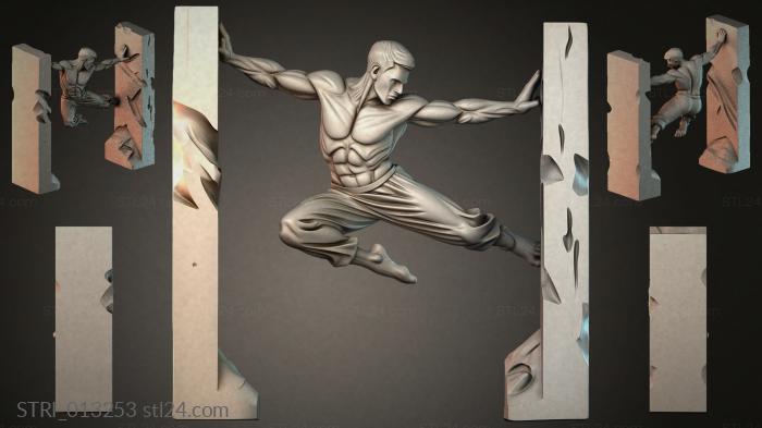 STRI_013253