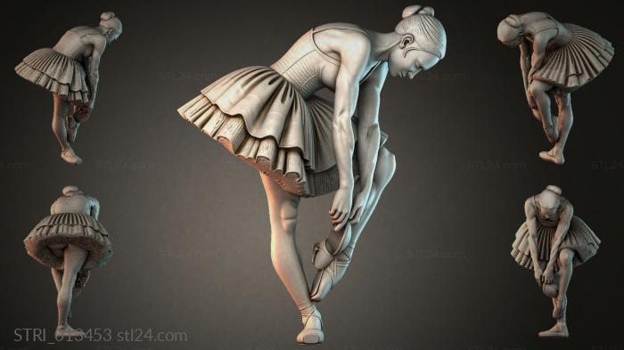 STRI_013453