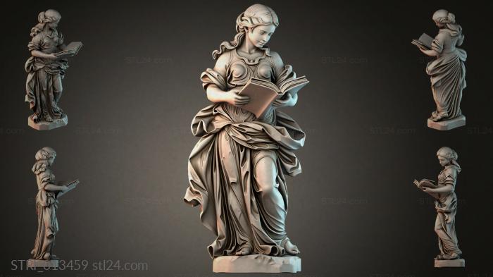 STRI_013459 3d STL model