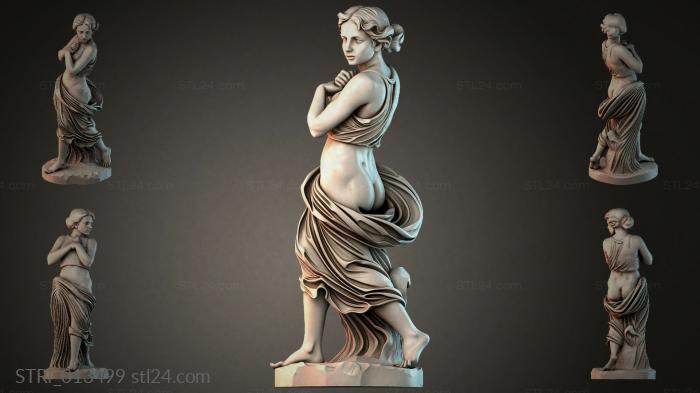 STRI_013499 3d STL model