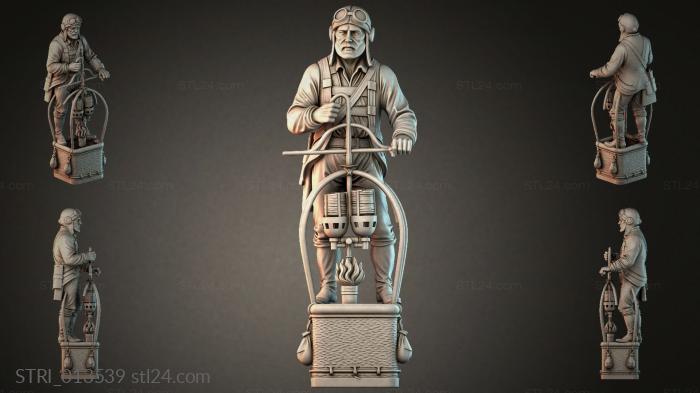 STRI_013539 3d STL model