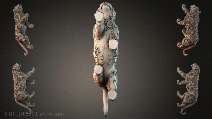 STRI_013721