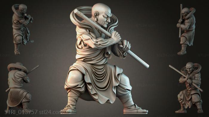 STRI_013757