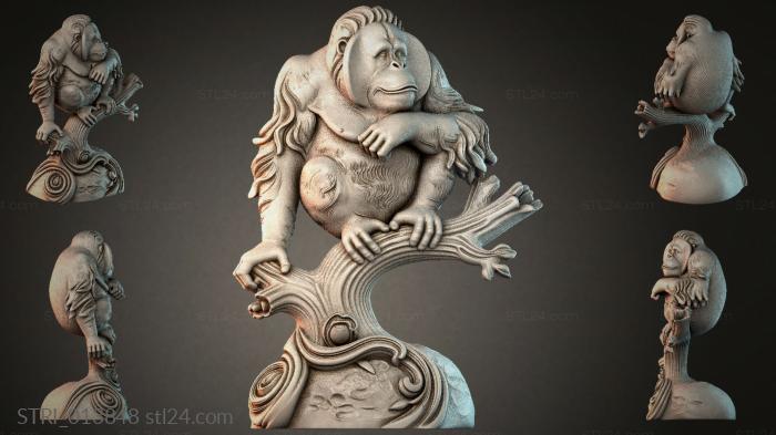 STRI_013848 3d STL model