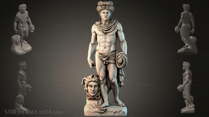 STRI_013861 3d STL model