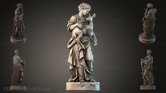 STRI_014082