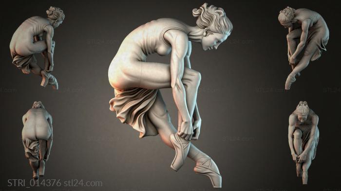 STRI_014376