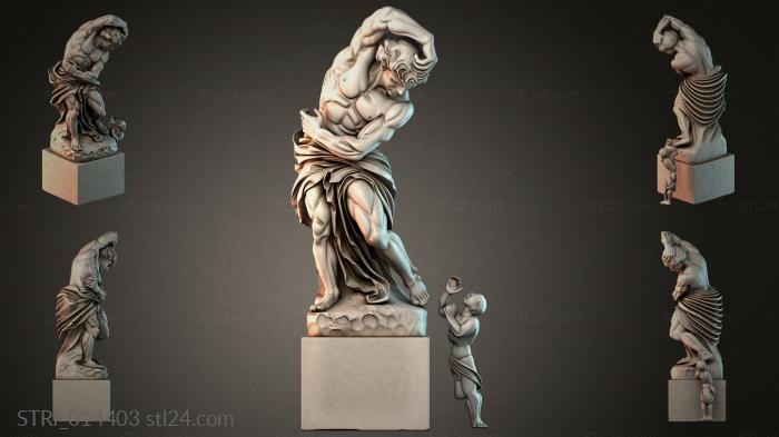 STRI_014403 3d STL model