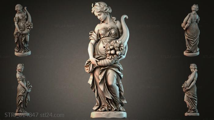 STRI_014847