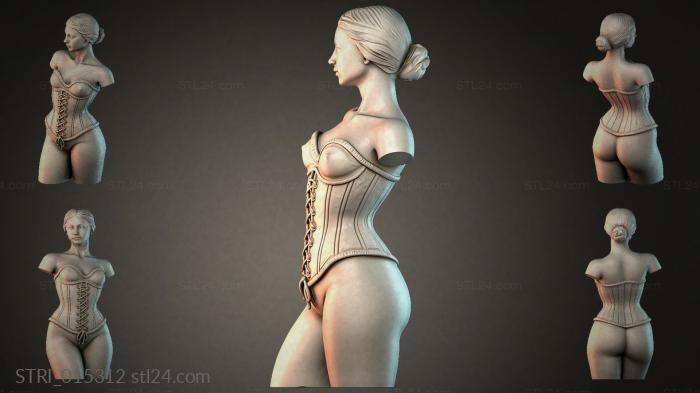 STRI_015312