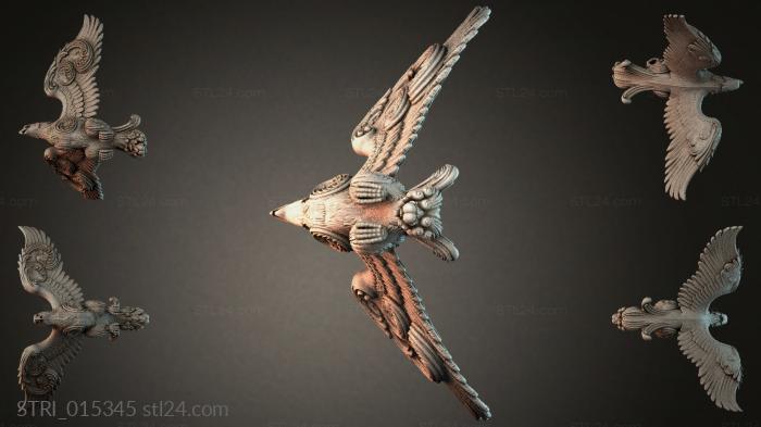 STRI_015345