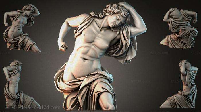 STRI_015547
