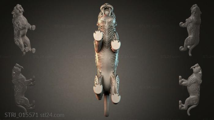 STRI_015571