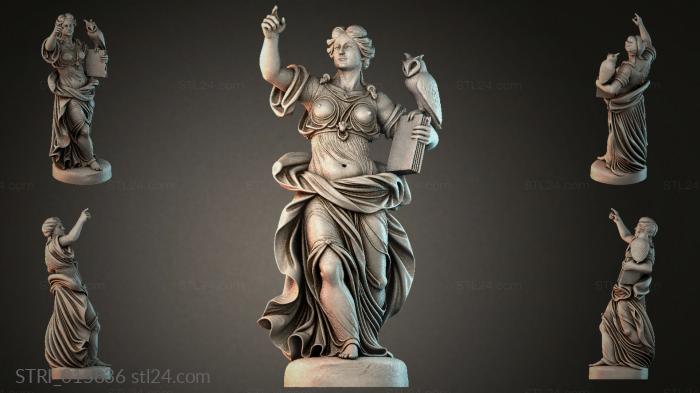 STRI_015836
