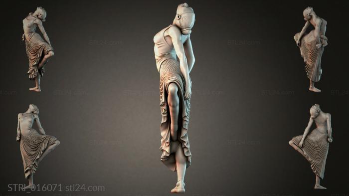 STRI_016071
