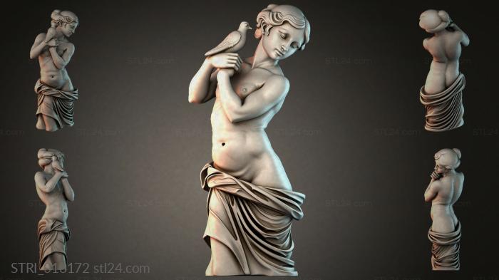 STRI_016172