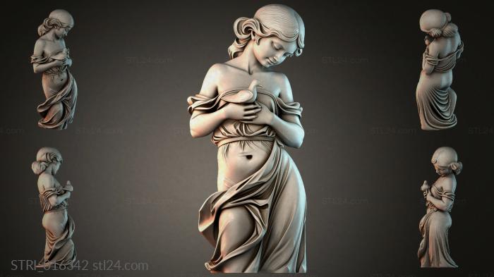 STRI_016342