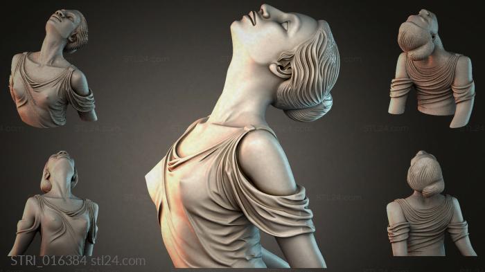 STRI_016384
