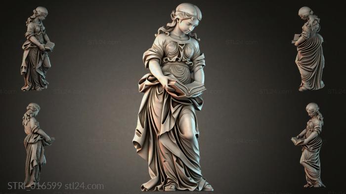 STRI_016599