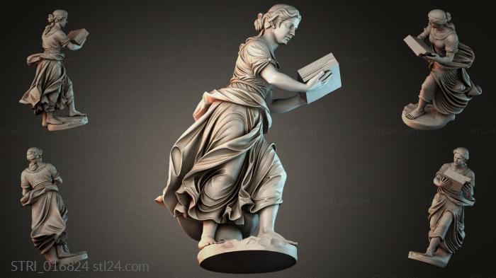 STRI_016824