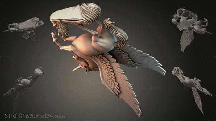 STRI_016909