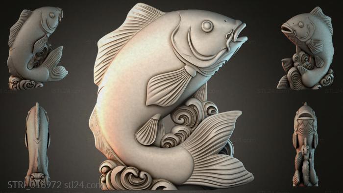 STRI_016972