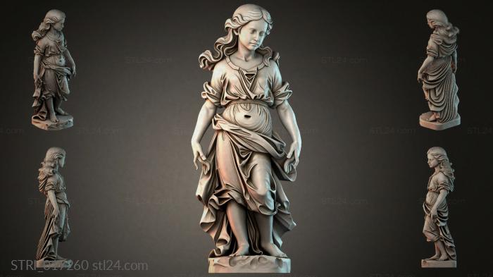 STRI_017260